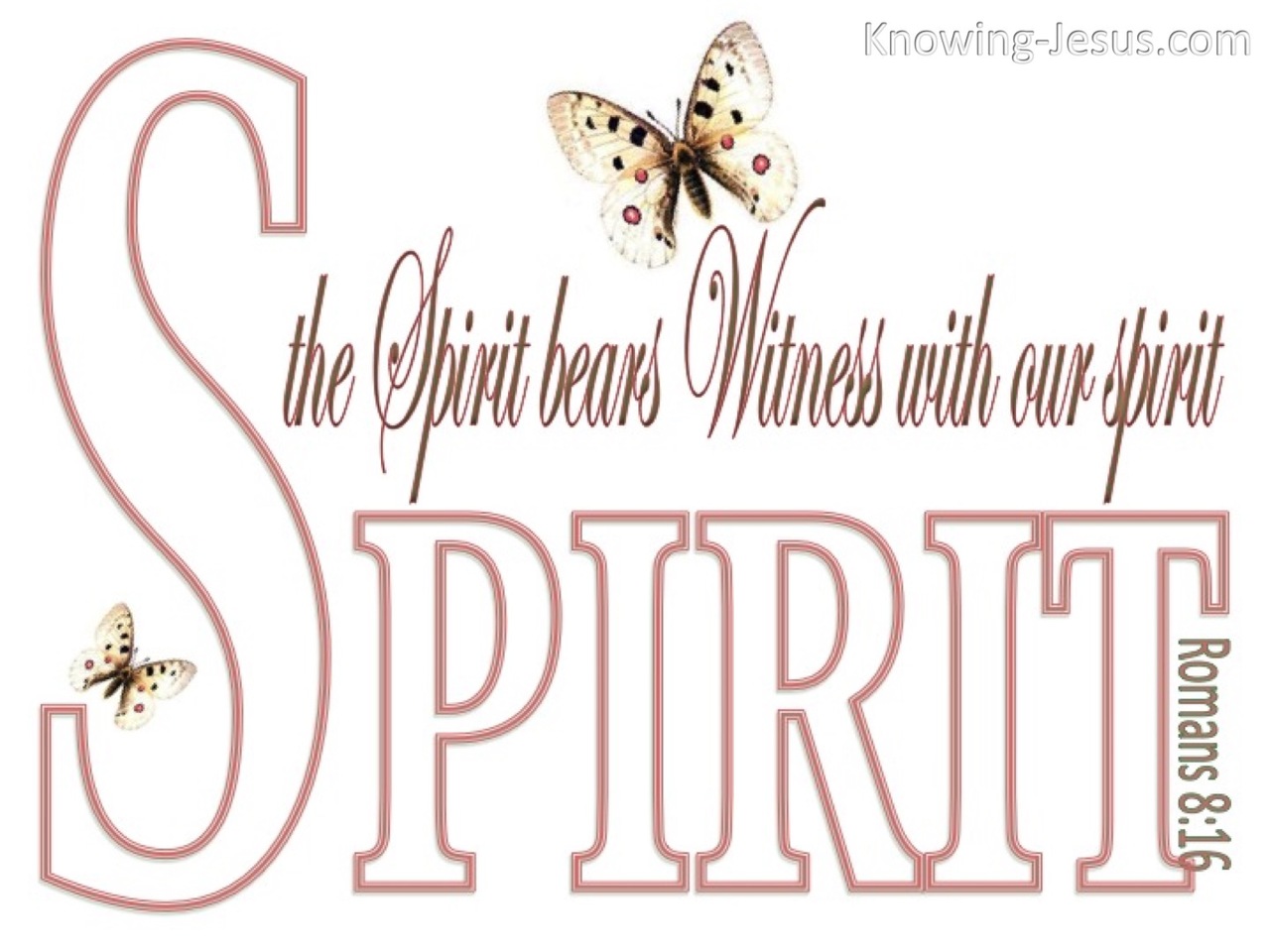Romans 8:16 The Spirit Bears Witness (pink)